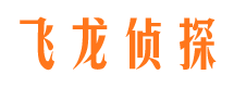 龙湾市侦探调查公司